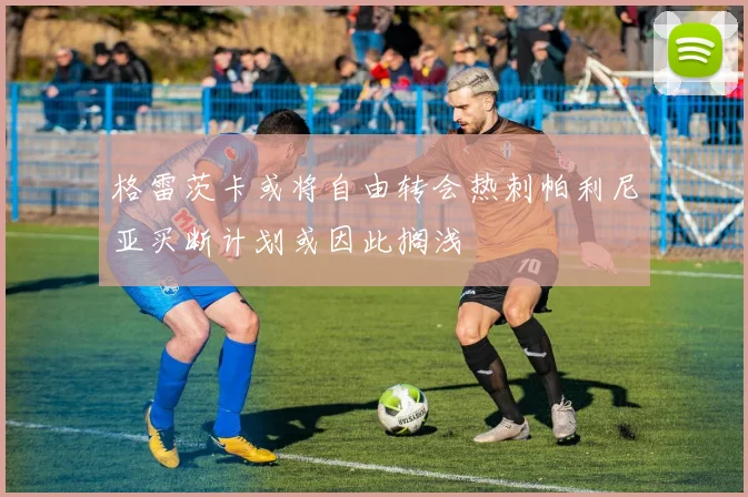 格雷茨卡或将自由转会热刺帕利尼亚买断计划或因此搁浅