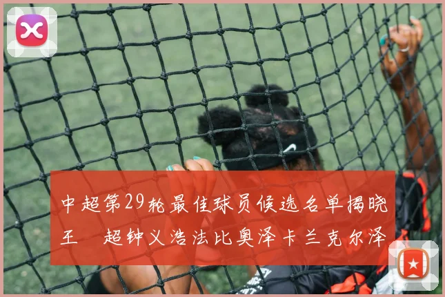 中超第29轮最佳球员候选名单揭晓王燊超钟义浩法比奥泽卡兰克尔泽齐聚争夺荣耀