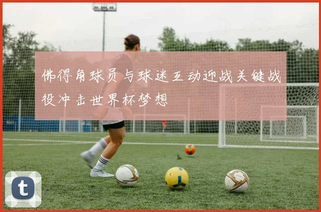佛得角球员与球迷互动迎战关键战役冲击世界杯梦想