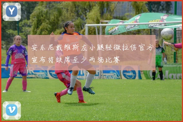 安东尼戴维斯左小腿轻微拉伤官方宣布将缺席至少两场比赛